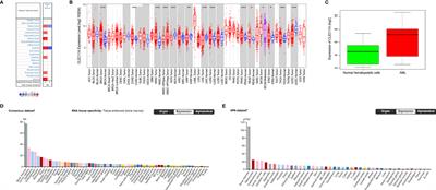High Expression of CLEC11A Predicts Favorable Prognosis in Acute Myeloid Leukemia